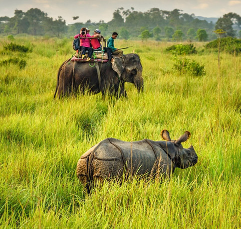 Dudhwa Elephant Ride